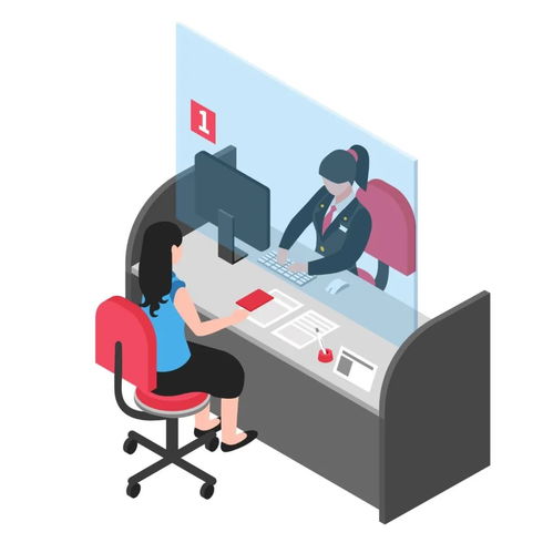 戶籍新政下的信息咨詢服務 機遇、挑戰與價值